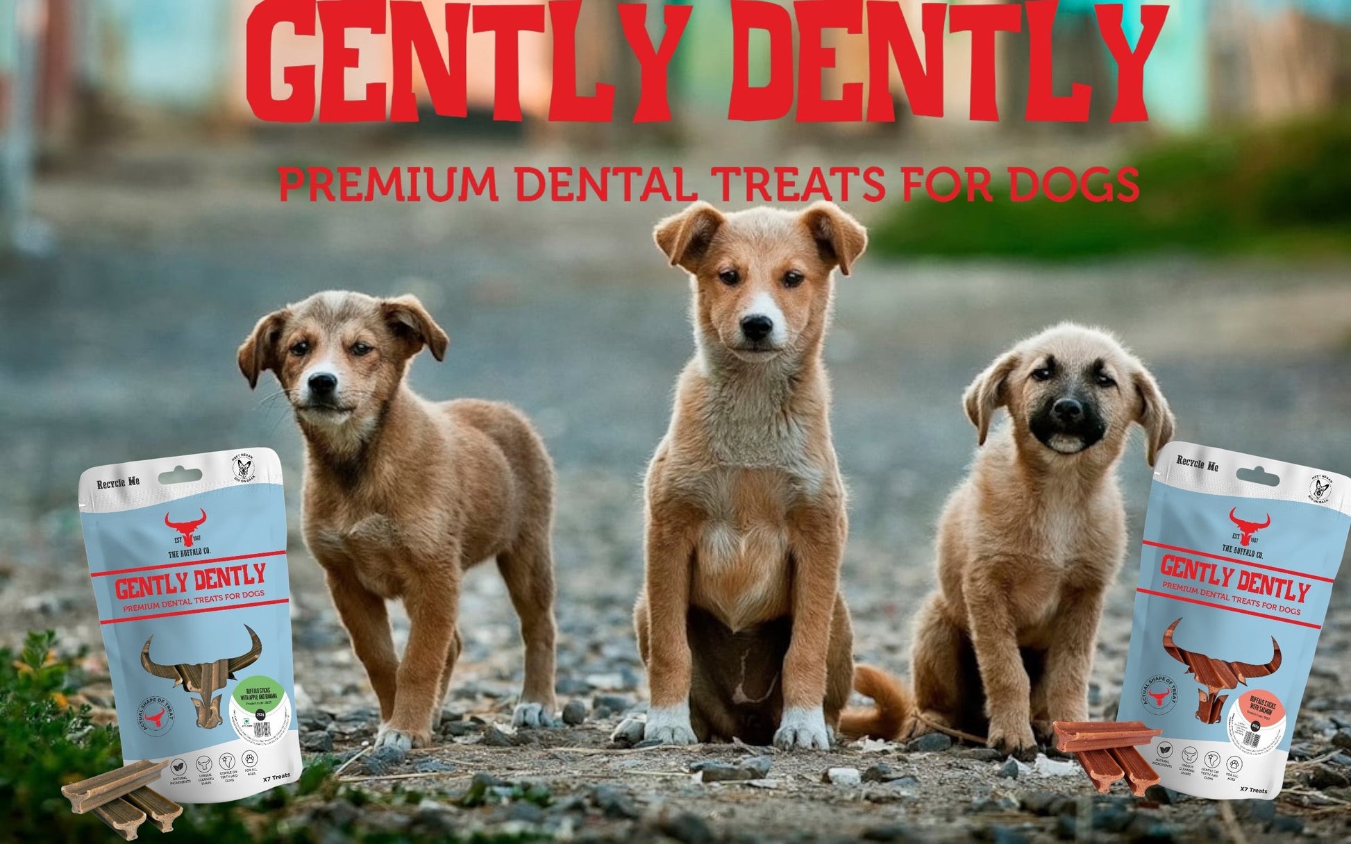 Gently Dently- Salmon Dental Treats for Dogs-4