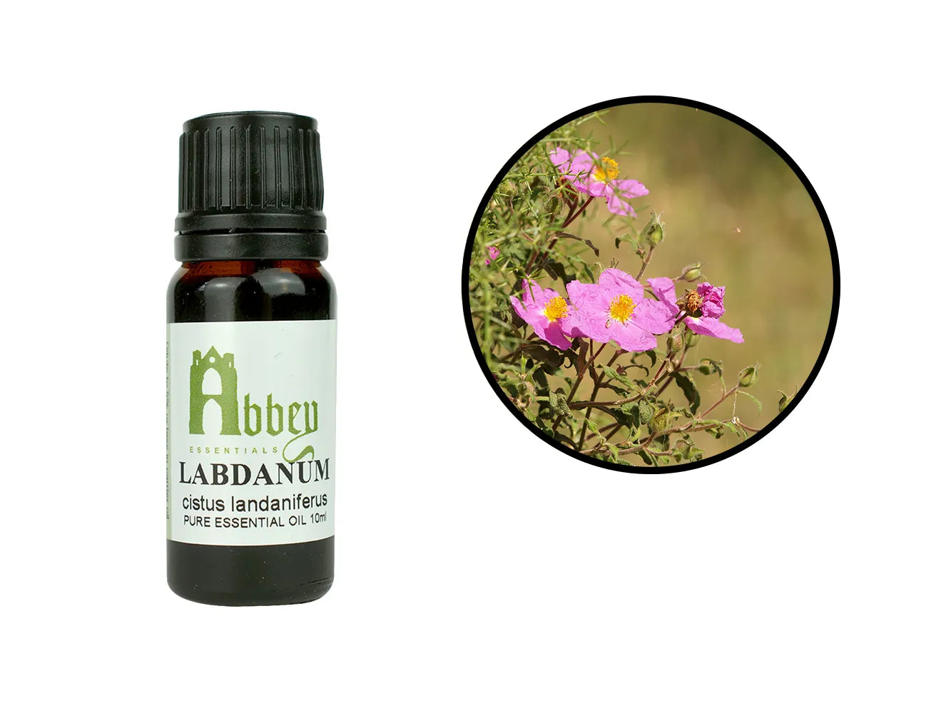 Labdanum Essential Oil-0