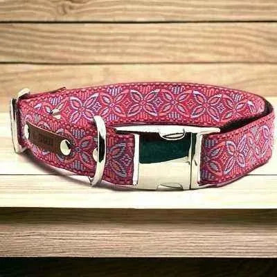 Chic Collar for Stylish Pooches-0