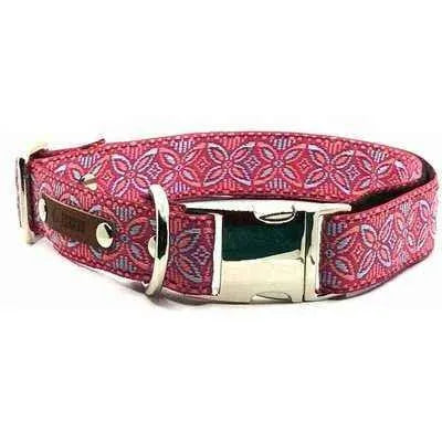 Chic Collar for Stylish Pooches-1