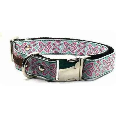 Finnigan Luxe Leather Dog Collar-1