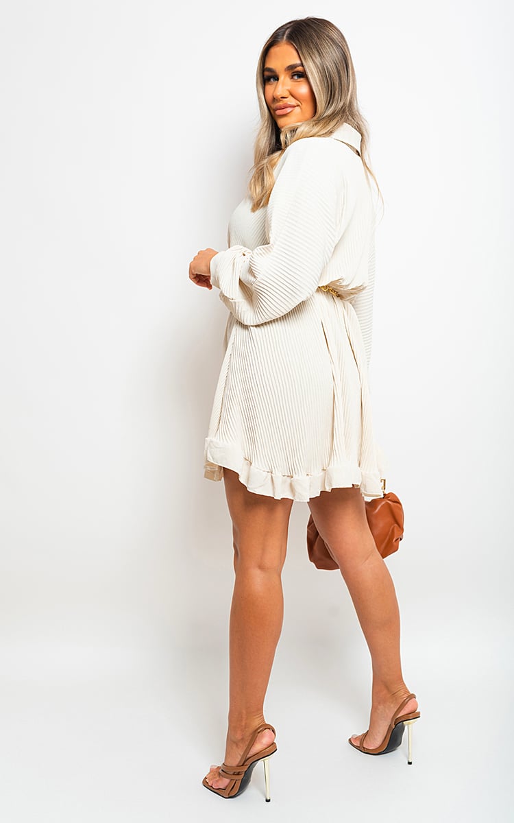 Long Sleeve Pleated Button Up Mini Dress-8